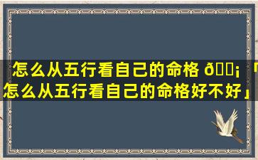 怎么从五行看自己的命格 🐡 「怎么从五行看自己的命格好不好」